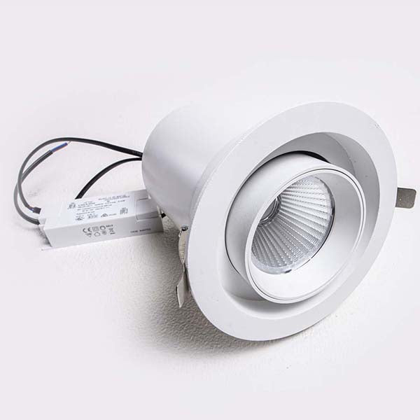 Led downlighter 21W