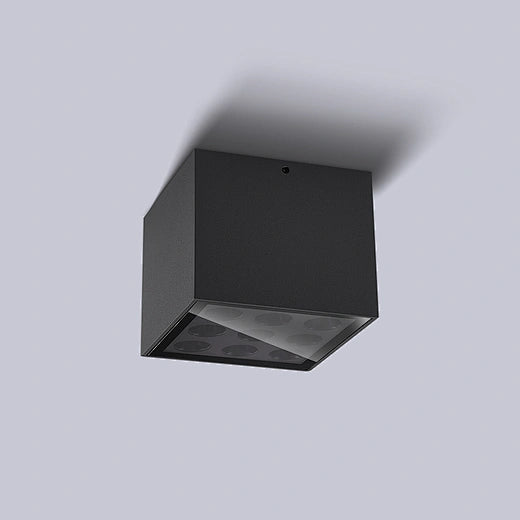 Zidna Svetiljka 10W IP65 WN-XC004S-IP65-9T BL