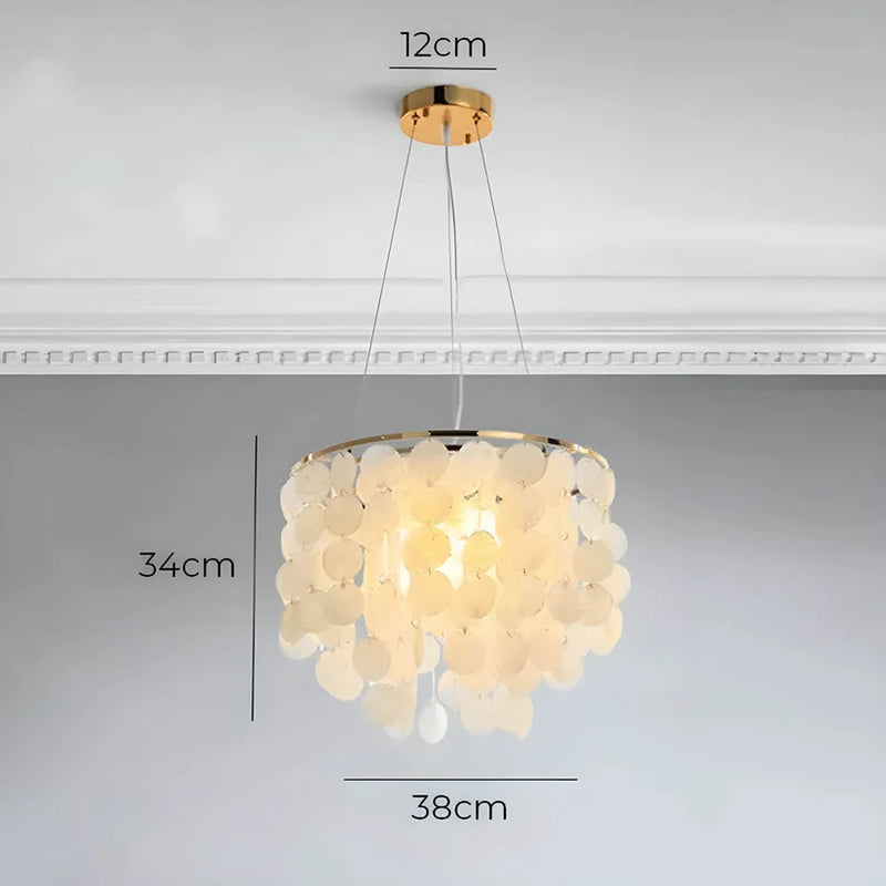 Luster Shelley DL0013