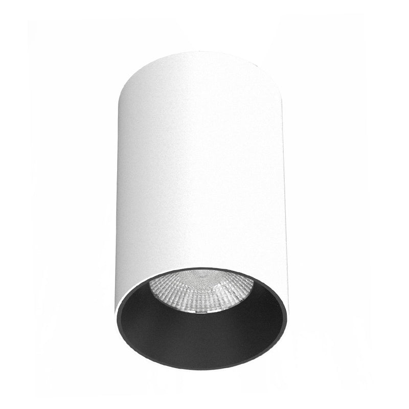 DOWNLIGHT visilica ALXS0685A-15W WH